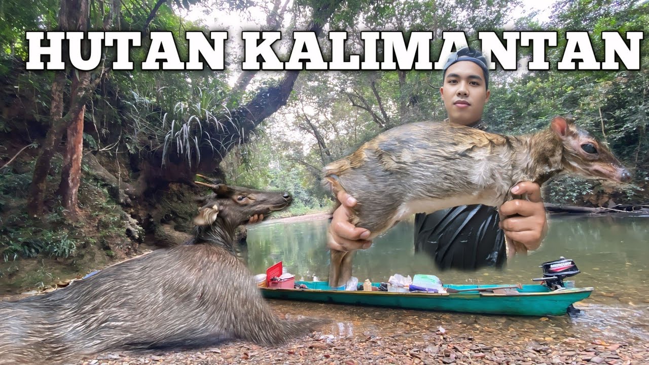 Camping Hujan Deras Mencari Rusa 3 Hari di hutan Kalimantan Bushcraft and Camp Overnight