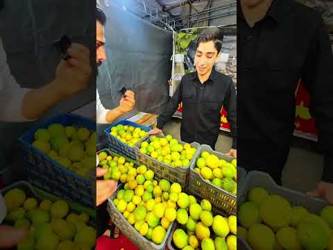 جشنواره اقوام و عشایر اسلامشهر
