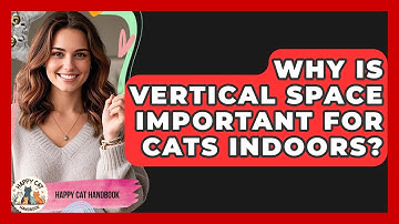 Why Is Vertical Space Important For Cats Indoors? - Happy Cat Handbook