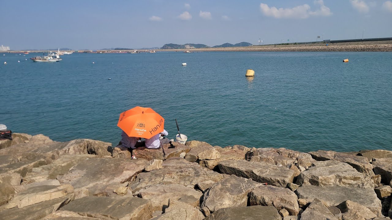 [서산]부모님과 삼길포항 첫낚시...30마리 잡았다