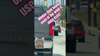 The Rarest Thing on the Road — Blinker Fluid in the Wild!