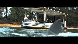 THE JAWS RIDE MOVIE: The Real Story of Gordon on Amity 3