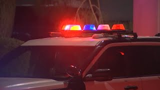 Las Vegas police arrest 79 people, issue more than 300 citations over Memorial Day weekend