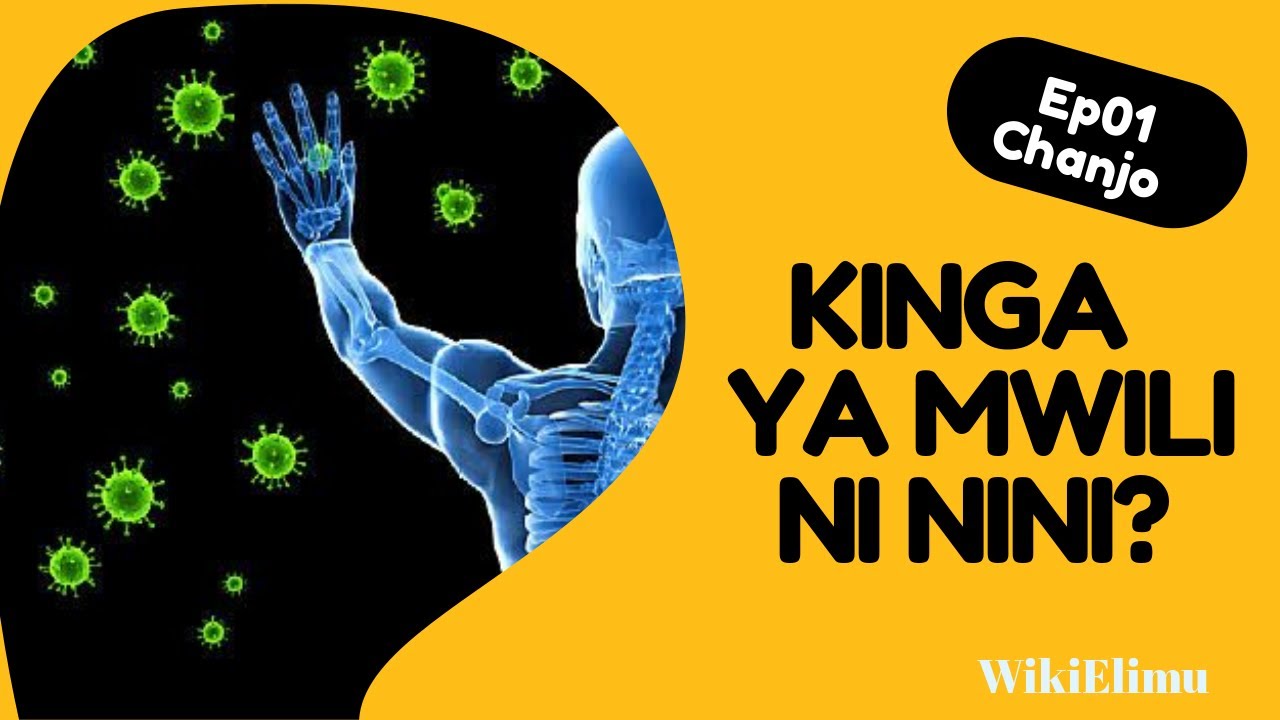 KINGA YA MWILI NI NINI?