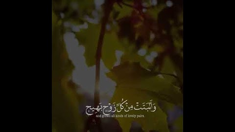 ياسر الدوسري /قرآن كريم/مقاطع قصيرة/تلاوة عطرة / حالات واتساب