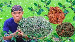 Tata iwak tumbuhan sawah masak gecok sangrai santan mentah dgn bebek bakar sereh