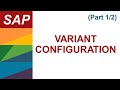 Sap vc variant configuration part 12  how to setup sap vc  sap demo 