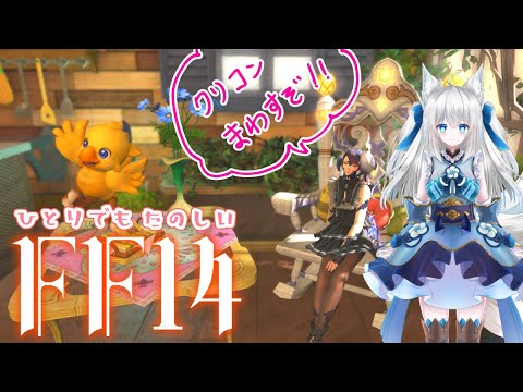 【 #FF14】クリスタルコンフリクトでのしあがらせて！【Vtuber狐狐音の前】