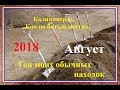 Калининград.Ни дня без находок.