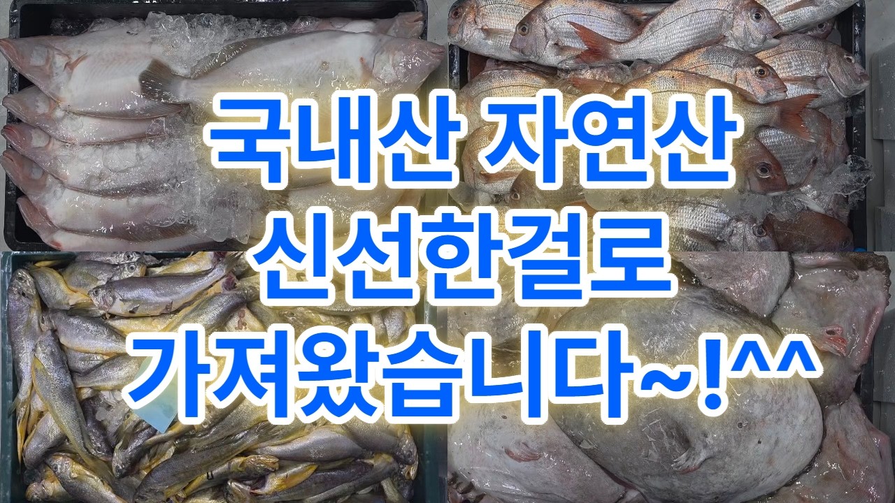 2월 25일 수요일 구경하고 가세요~^^ #아귀 #아구 #농어 #가자미 #참가자미 #참돔 #조기 #파조기 #금태 #눈볼대 #목포 #목포선어위판장 #목포수협 #생선판매 #수산물판매