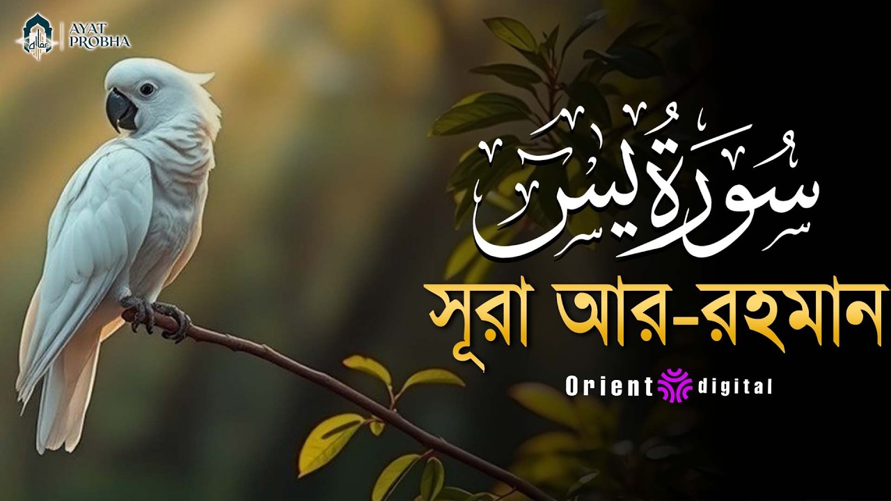 অন্তর শীতল করা সূরা ইয়াসিন এর তিলাওয়াত ┇ Surah Yasin Recited by Mostafa Al Lahoni
