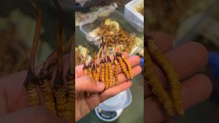 The World’s Most Expensive Mushroom Comes From a Bug 😳🍄