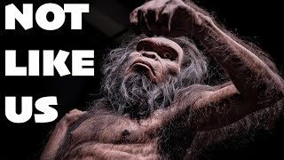 Meet Other Human Species in Flesh