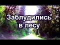 550.Весна в Израиле.Кибуц а-Зореа."Три желания" и что там.