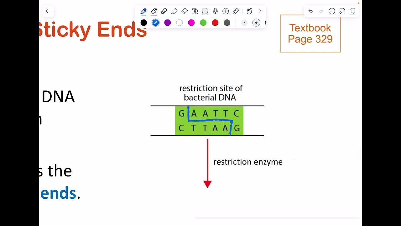 [Crash Course] O and N level Biology (13 Molecular Genetics Part 2)