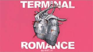 Matt Mays & El Torpedo - Terminal Romance chords