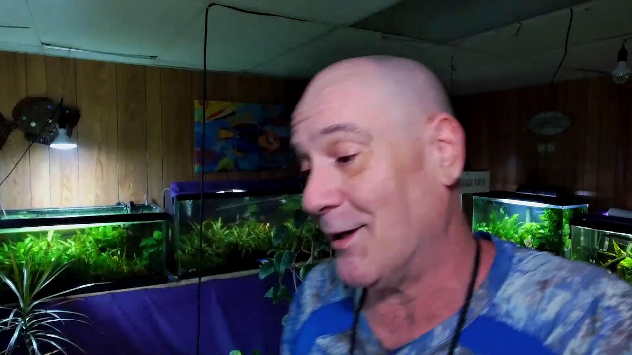 Sunday Night Water Change w/ Dan