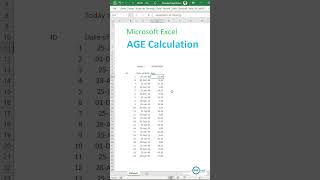Calculate Age using Microsoft screenshot 2