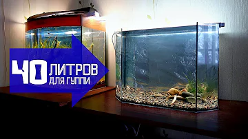 Еще один аквариум для гуппи! 40 литров