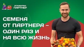 ПРОИЗВОДСТВО СЕМЯН В АГРОФИРМЕ ПАРТНЕР: ВЫСОКОЕ КАЧЕСТВО И ПЕРЕДОВЫЕ ТЕХНОЛОГИИ