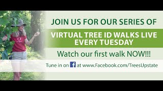 TreesUpstate's Virtual Tree ID Walk- Series 1