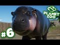 A Bouncing Baba Hippo!!! - Planet Zoo | Ep6 HD