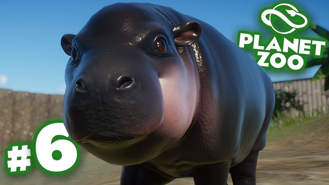 ⁣A Bouncing Baba Hippo!!! - Planet Zoo | Ep6 HD