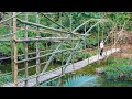 TIMELAPSE --30 Days Alone Build Bamboo Bridge Across The Stream In Flood Season /Start To Finish