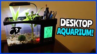 Mini USB Desktop Aquarium Setup!