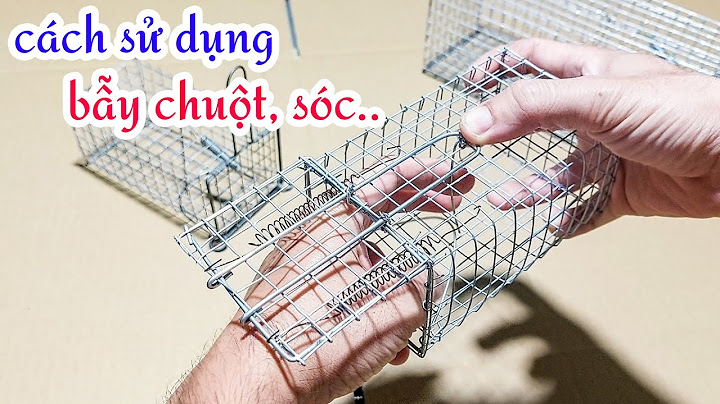 Hướng dẫn làm lồng bẫy chuột loại dài năm 2024