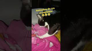 Nakisabay Naglalaba Nnman Cya trending shorts short shortsfeed viral shortsviral cat