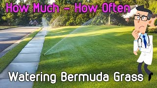 Watering Bermuda Grass Lawn