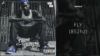 Hopsin - FLY (852hz)