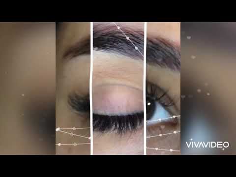 كلاسيك طبيعي فر ال