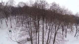 flight over winter forest