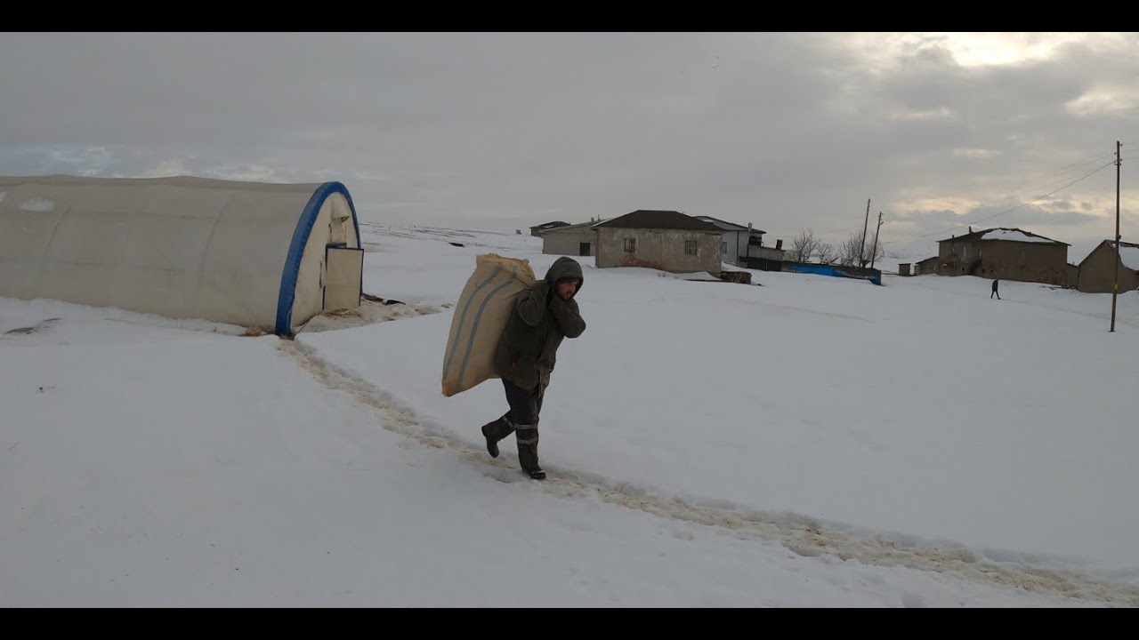 BİR COBANIN KIŞ HİKAYESİ