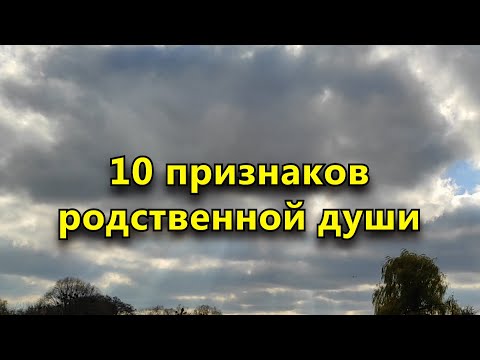 10 признаков того, что вы встретили родственную душу