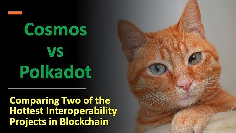 Cosmos vs Polkadot: Comparing Two of the Hottest Interoperability Projects in Blockchain