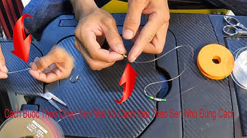 Hướng Dẫn Buộc Thẻo Và Cách Vào Thẻo Seri Nhỏ Câu Chép Hiệu Quả Hơn