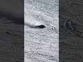 Epic Ski Crash スキーで盛大に転倒| 滑雪翻车现场🤣⛷️| #reels #fypシ゚ #fypシ゚ #snow #funnymoment