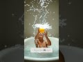 The Extraordinary Discovery Of Archimedes Water And Gold The Extraordinary Discovery Of Archimedes Water And Gold