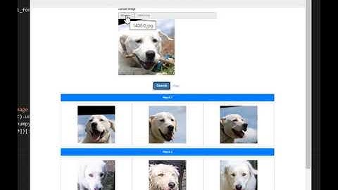FaceNet Implementation on DogFace Dataset