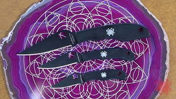 Spyderco Black Bug Knives