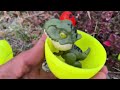 Amazing discovery Lots of dinosaur eggs with many model supercars hidden inside