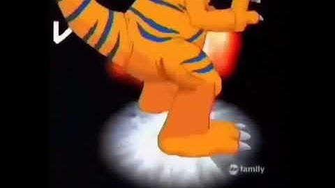 All Digimon Champion Digivolutions (Season 1-5)