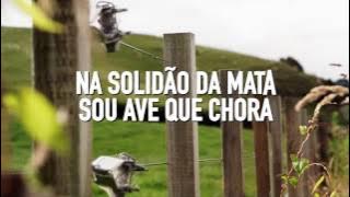 Onde Está? - Calcinha Preta