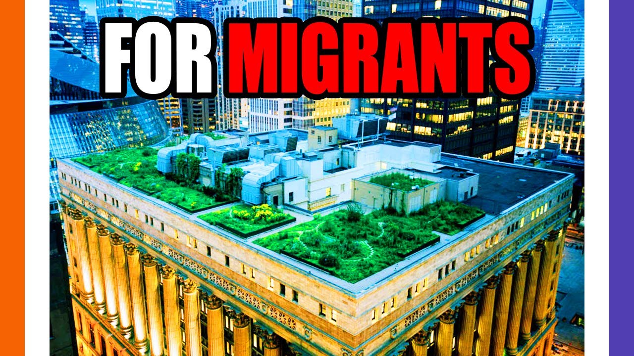 Chicago To House Mlgrants In City Hall 🟠⚪🟣 NPC Politics