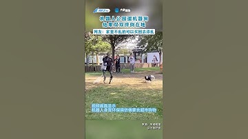 公園裏驚現機器人遛機器狗，下壹秒就雙雙摔倒在地#搞笑 #科技 #shorts