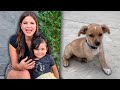 Un perrito sin una pierna le cambió la vida a mi hija