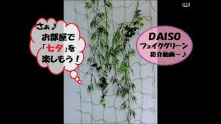 ♪ ＤＡＩＳＯの「フェイクグリーン」で、お部屋にみどりの癒しを ♪（Part２）